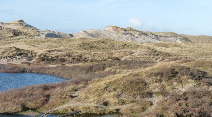 Noord-Holland neemt aangepaste beleidsregel stikstof aan