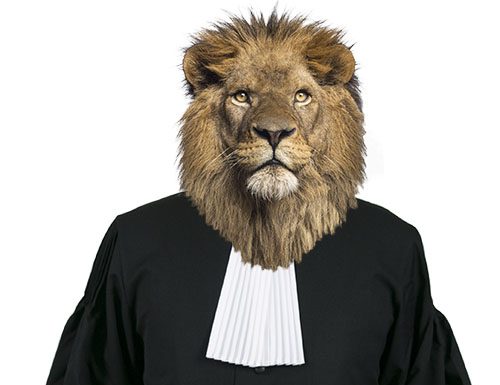 Kosten deurwaarder 2020