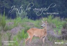 Fotoboek Yvette van den Berg brengt natuurgeluk