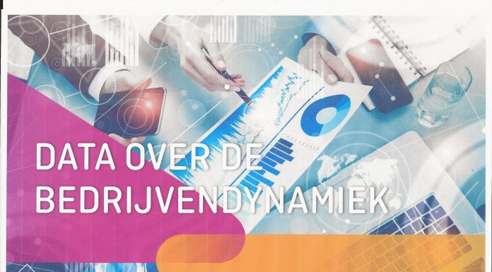 KVK Jaaroverzicht Bedrijvendynamiek 2020