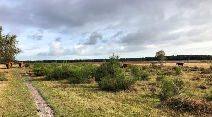 Uittreding Goois Natuurreservaat vrijwel voltooid