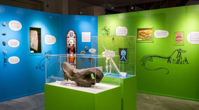 Fossielen, Fabels Feiten Geologisch Museum Hofland